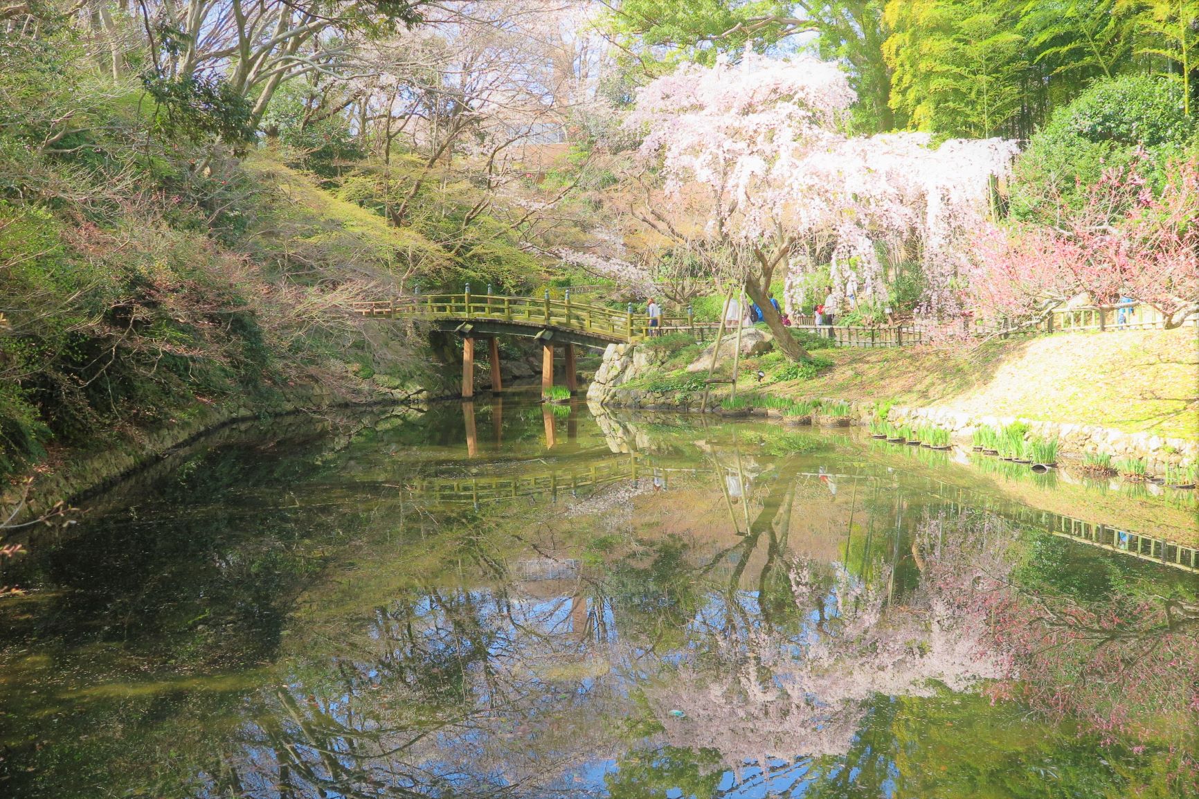 Japanese garden in Hamamatsu Castle Park