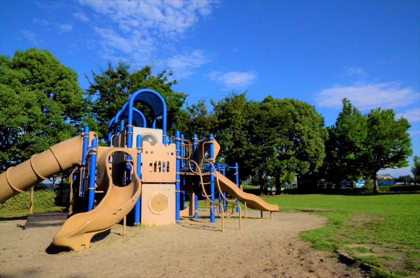 Early morning park in July 2021
