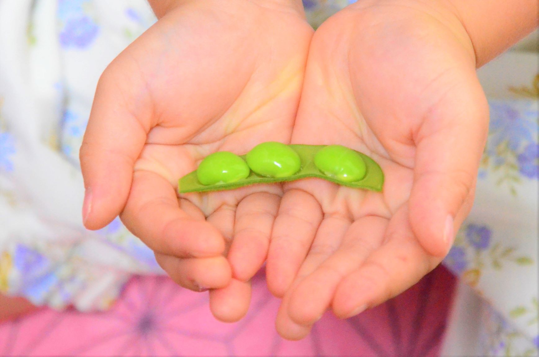 Bed of three edamame brothers