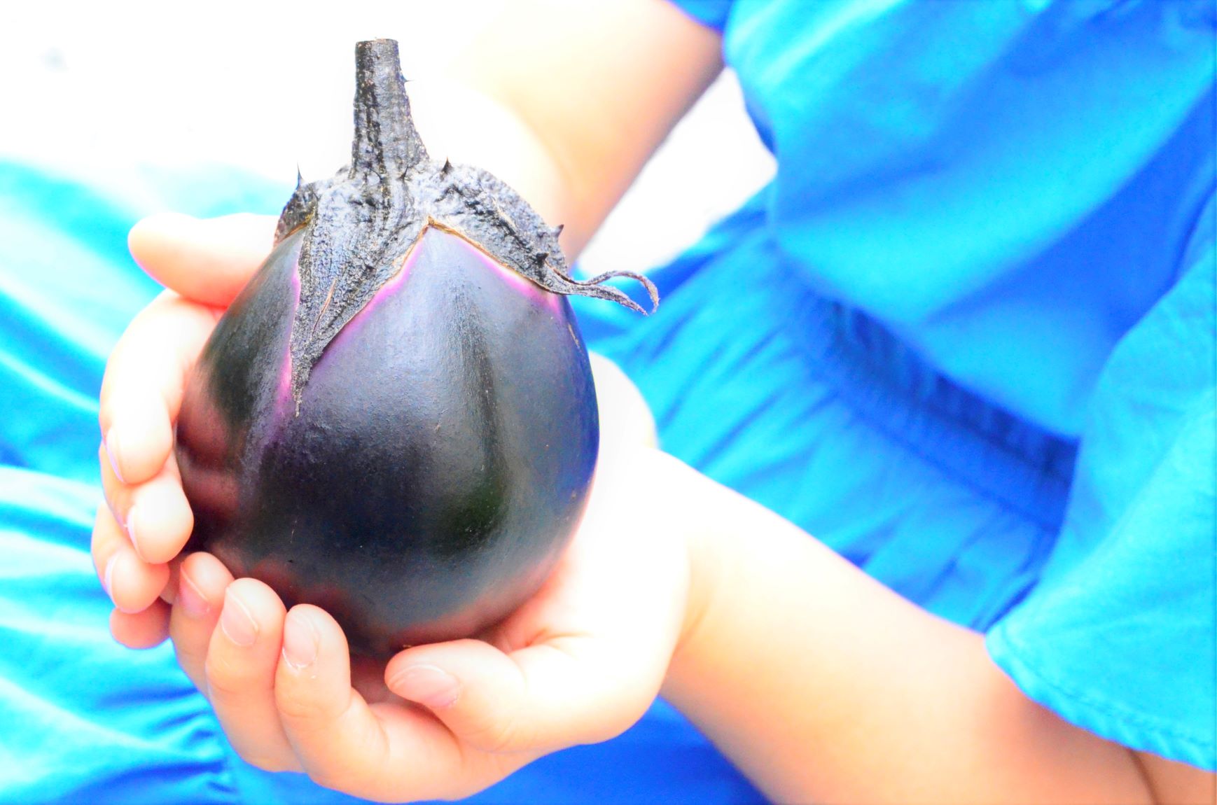 Congrats! The long-awaited harvest of eggplant