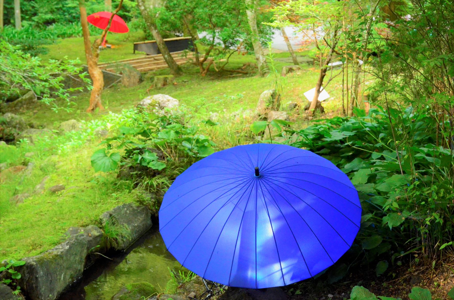 HATTASAN's blue umbrella