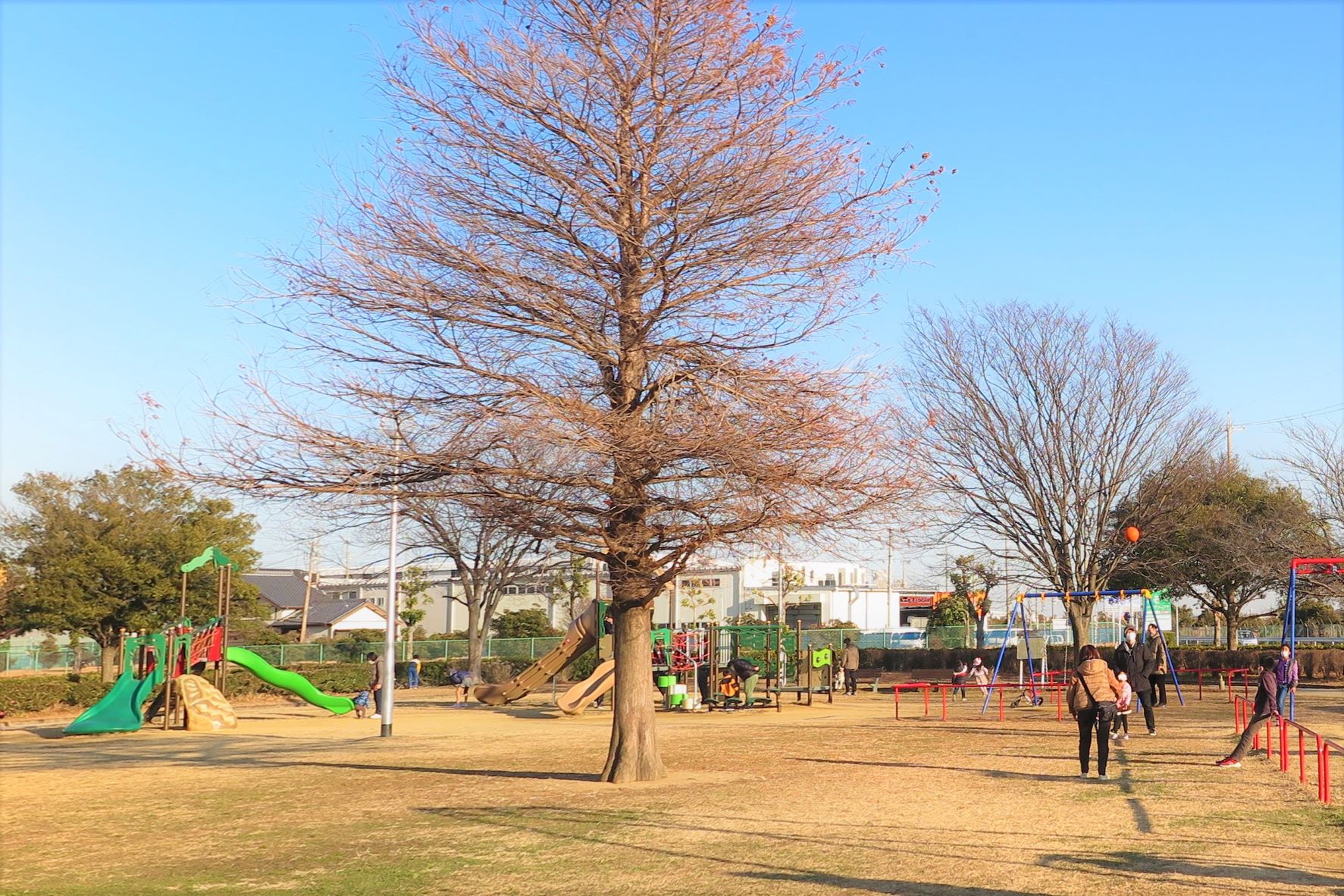 Takaoka Park