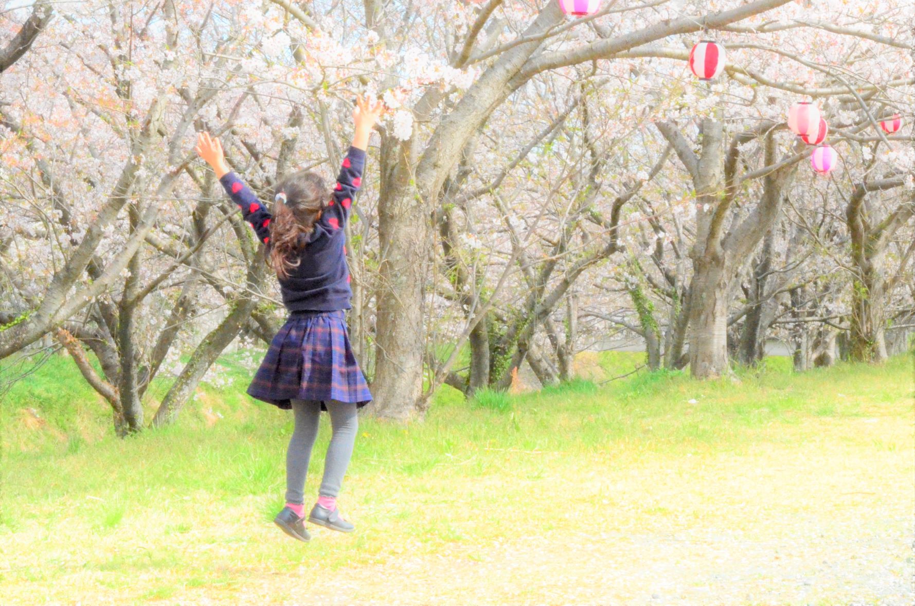 Sakura jump